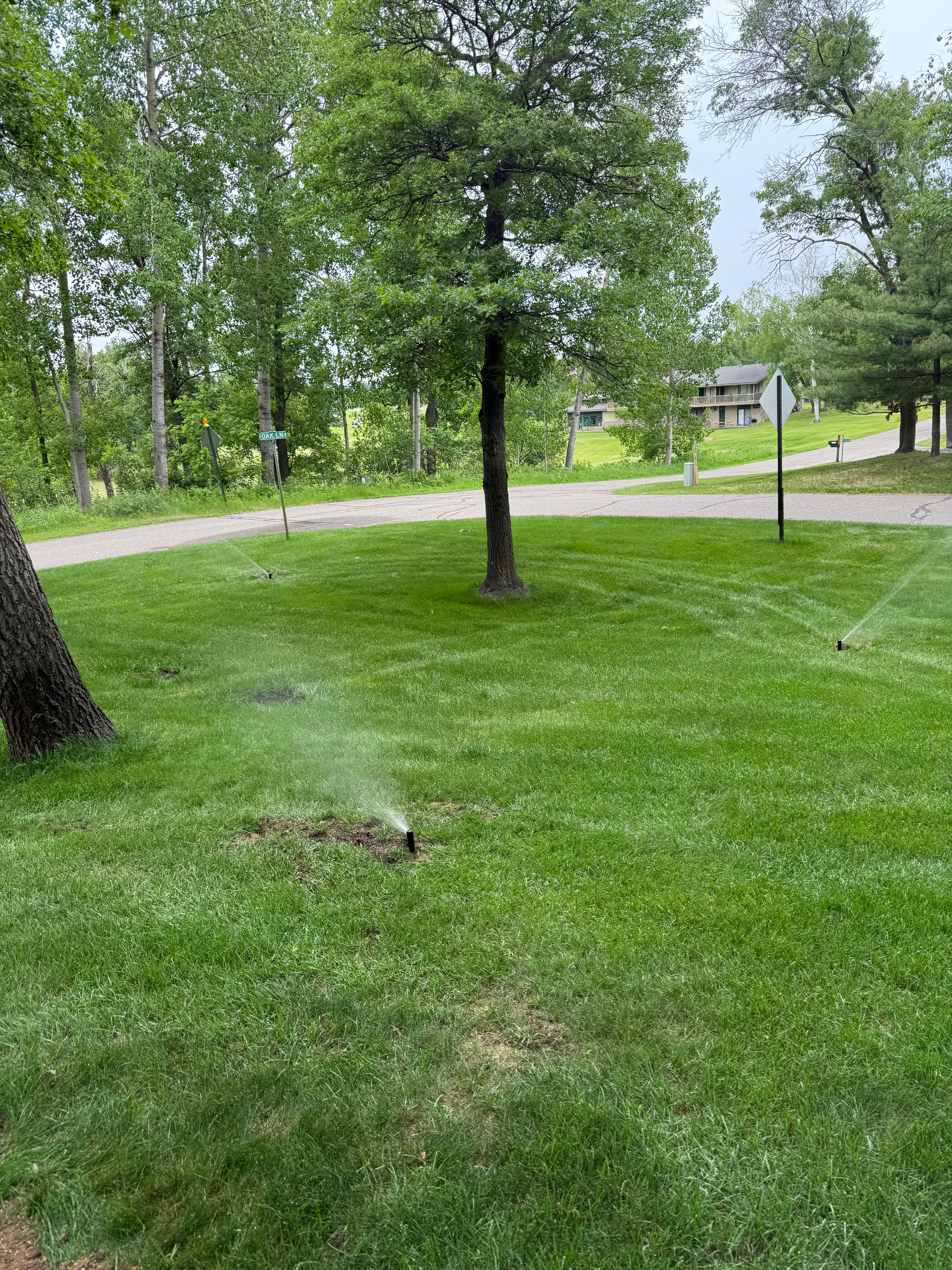 Project Lush Green Restoration with Irrigation Installation in East Gull Lake image